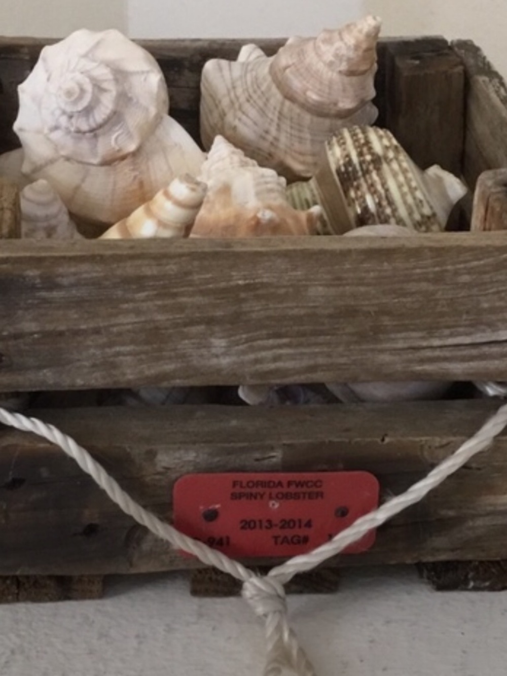 Wood Small Crate Rustic Costal Decor With Lobster Trap Tag From FWCC W/Shells